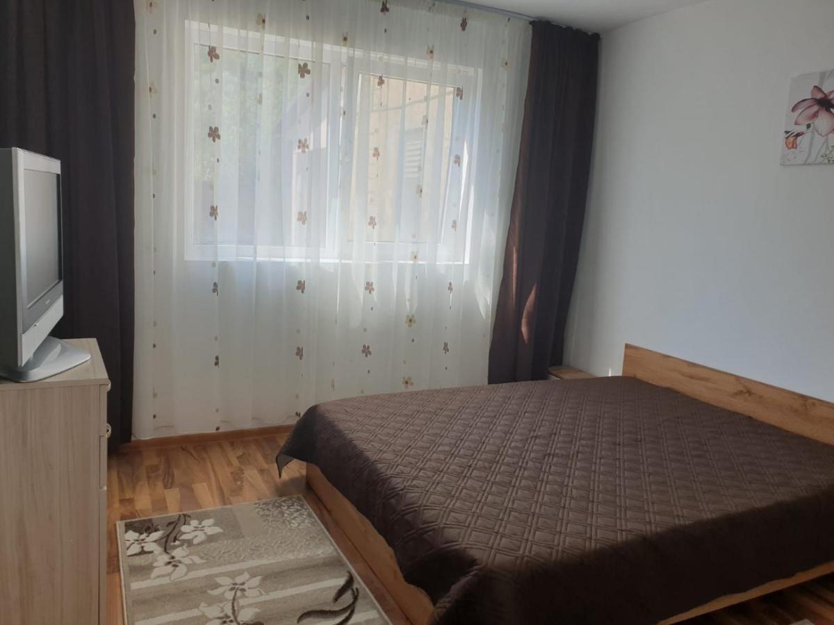 Cazare apartament cu 2 camere Nehoiu Exterior foto